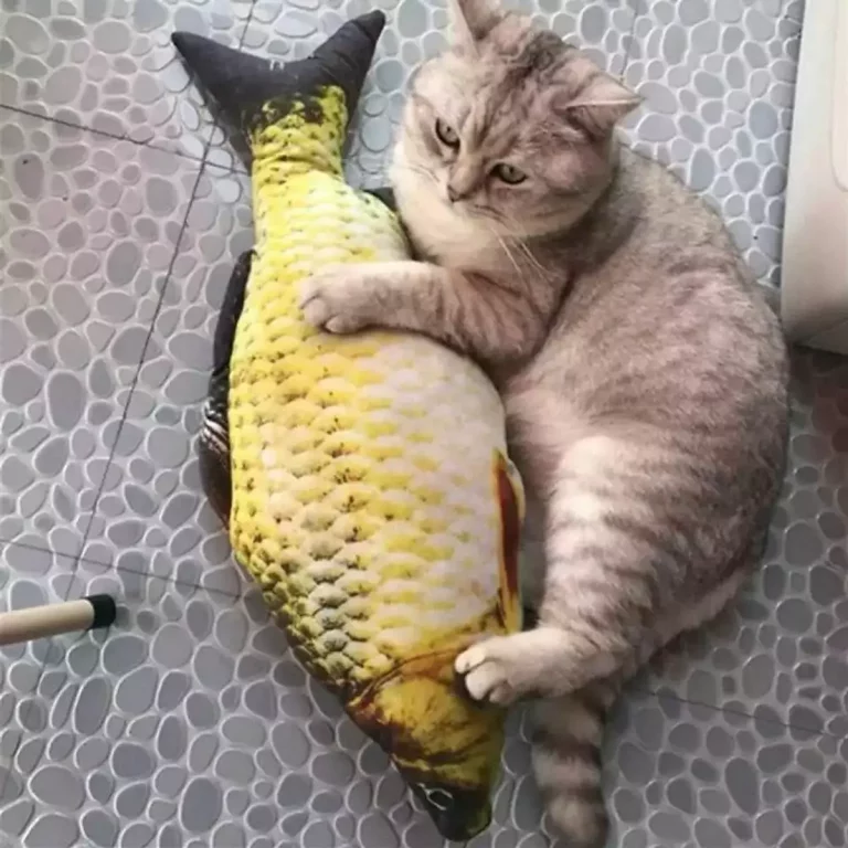 Cá 3D Giảm Sờ Trét Cho Mèo